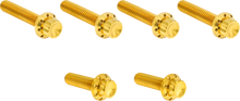 ARLEN NESS Bolt Kit - Cable Clutch - Titanium - 12-Point - M8/Twin Cam - Gold 300-705