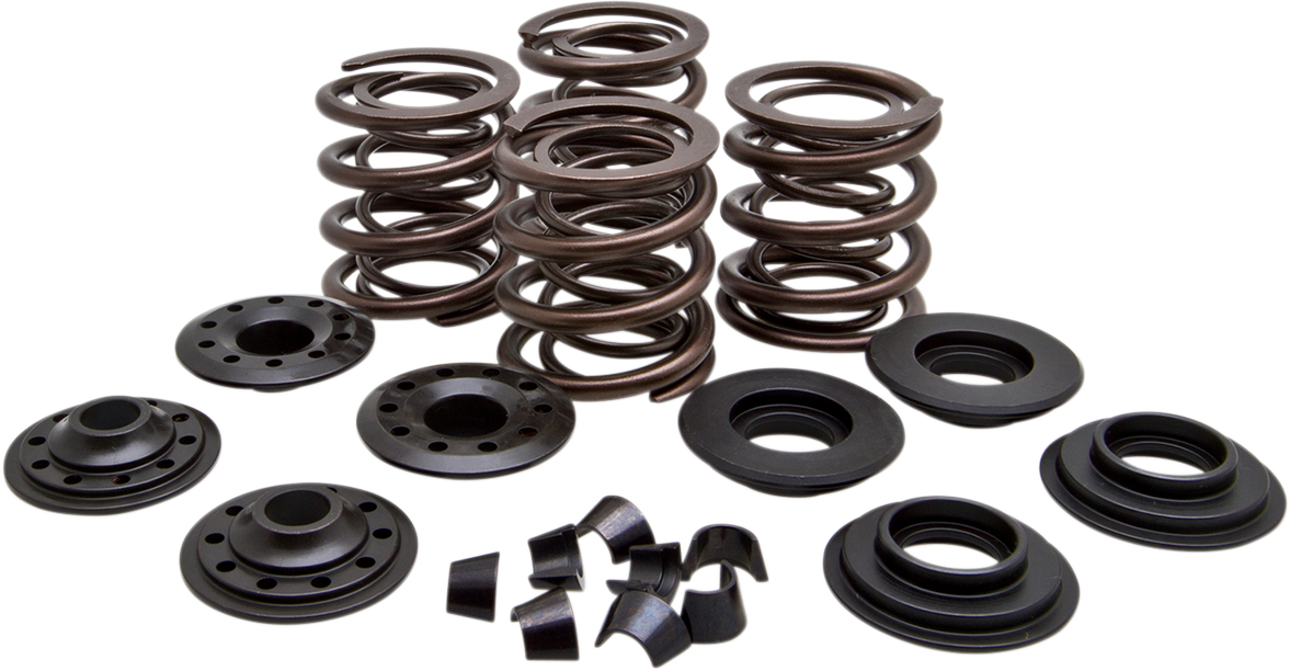KIBBLEWHITE Valve Spring Kit - 0.600" Lift - Shovelhead '66-'E79 20-20450