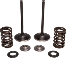 MOOSE OFFROAD Valve and Spring Kit - Exhaust - Honda M30-34360