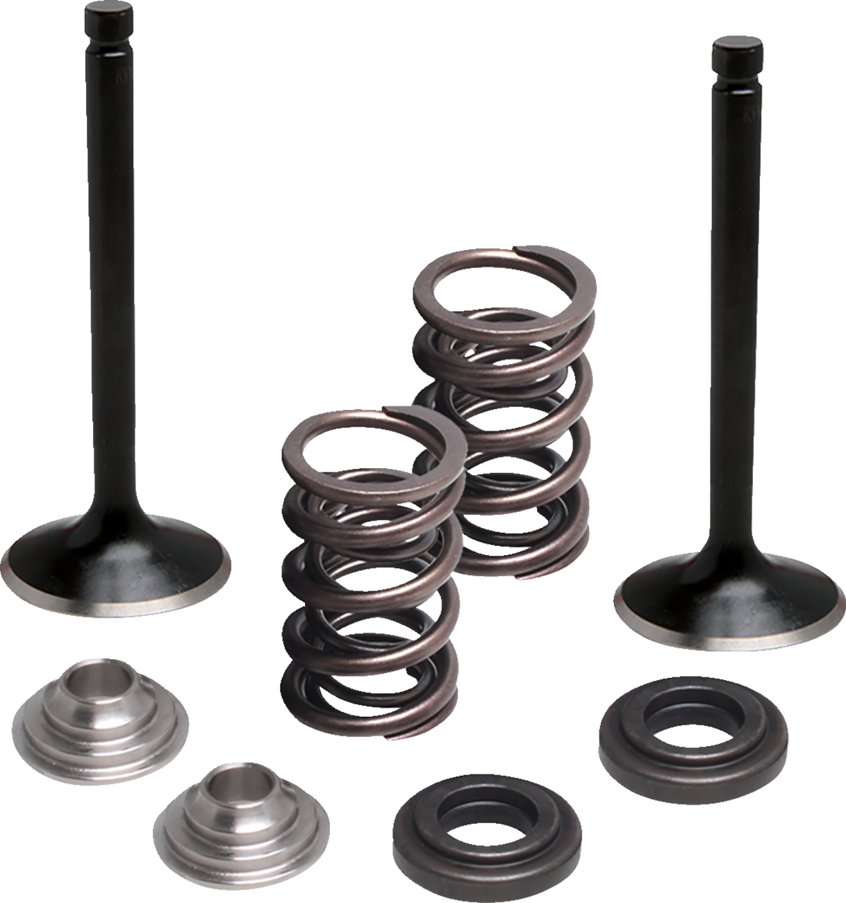 MOOSE OFFROAD Valve and Spring Kit - Exhaust - Yamaha M80-83060