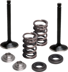 MOOSE OFFROAD Valve and Spring Kit - Exhaust - Yamaha M80-83060