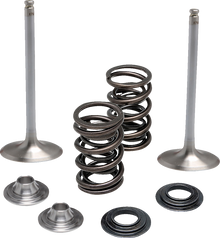 MOOSE OFFROAD Valve and Spring Kit - Intake - Suzuki M60-62150