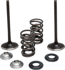 MOOSE OFFROAD Valve and Spring Kit - Intake - Suzuki M60-62250