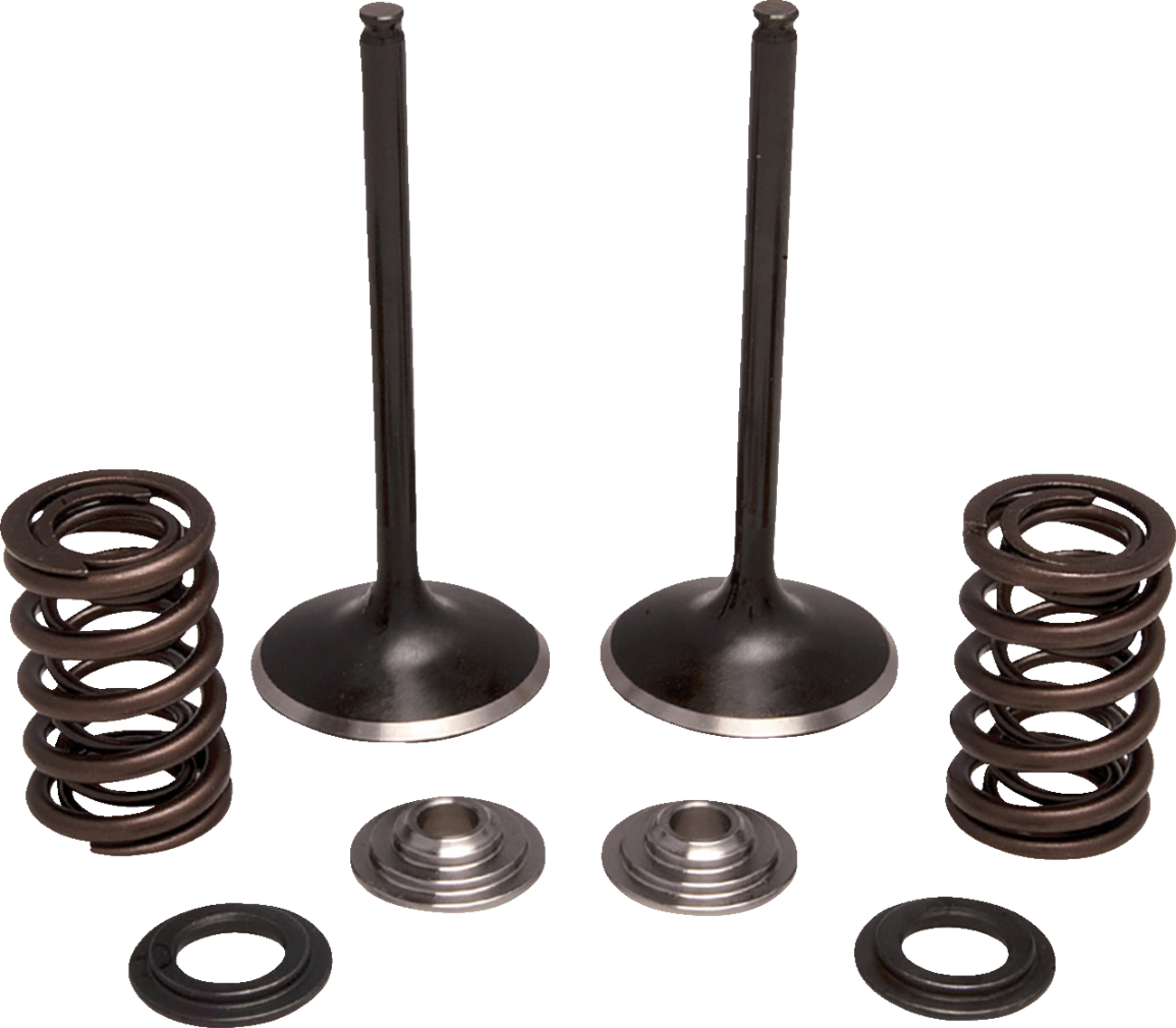 MOOSE OFFROAD Valve and Spring Kit - Intake - Honda M30-34250