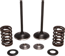 MOOSE OFFROAD Valve and Spring Kit - Intake - Honda M30-34350
