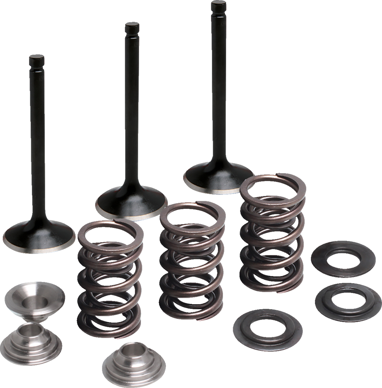 MOOSE OFFROAD Valve and Spring Kit - Intake - Yamaha M80-83050