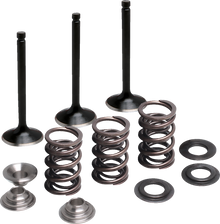 MOOSE OFFROAD Valve and Spring Kit - Intake - Yamaha M80-83050