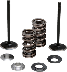 MOOSE OFFROAD Valve and Spring Kit - Intake - Yamaha M80-83150