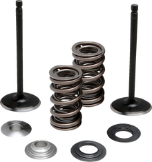 MOOSE OFFROAD Valve and Spring Kit - Exhaust - Yamaha M80-83160