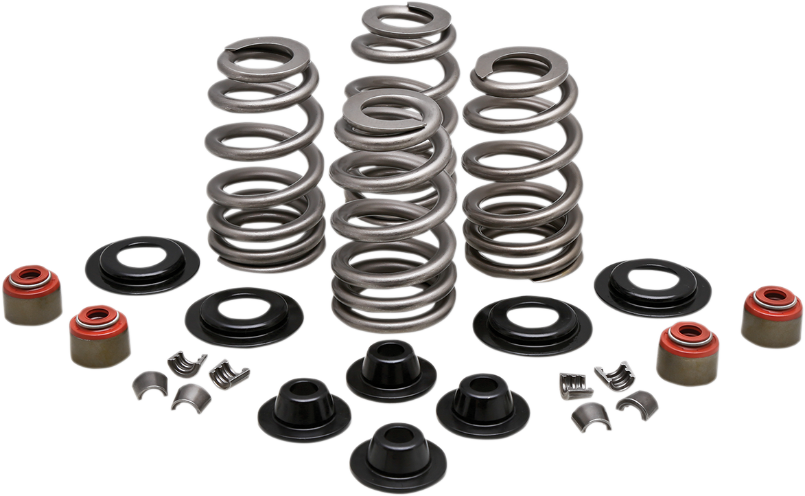 KIBBLEWHITE Beehive Spring Kit - 0.610" Lift - Twin Cam | XL | XR1200 20-21400