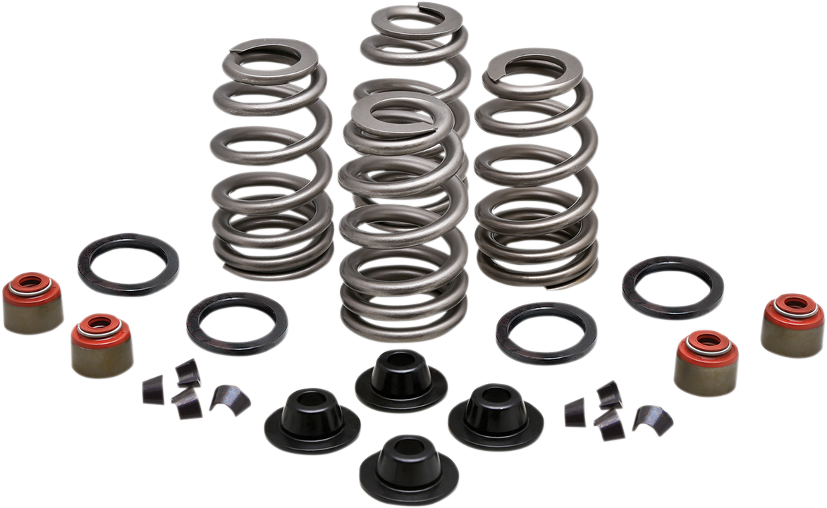 KIBBLEWHITE Beehive Spring Kit - 0.660" Lift - Twin Cam | XL | XR1200 20-21550