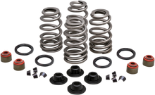 KIBBLEWHITE Beehive Spring Kit - 0.660" Lift - Twin Cam | XL | XR1200 20-21550