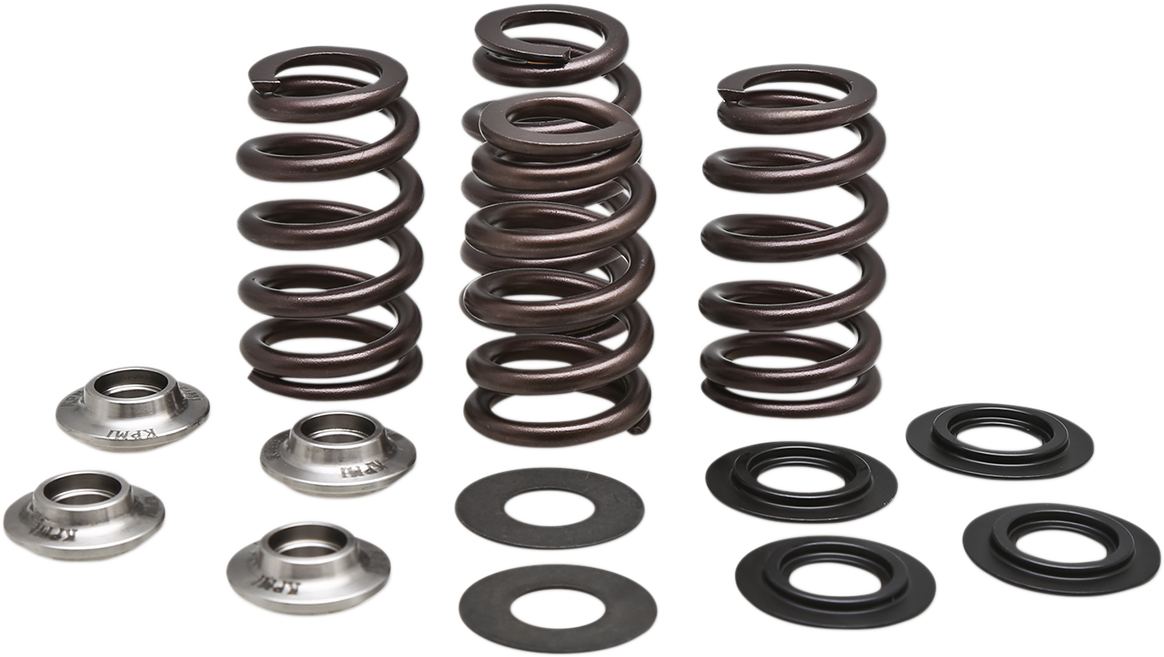 KIBBLEWHITE Valve Spring Kit - 0.435" Lift - Beehive Racing - Husqvarna | KTM 96-96500