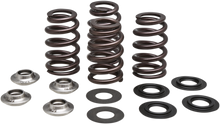 KIBBLEWHITE Valve Spring Kit - 0.435" Lift - Beehive Racing - Husqvarna | KTM 96-96500