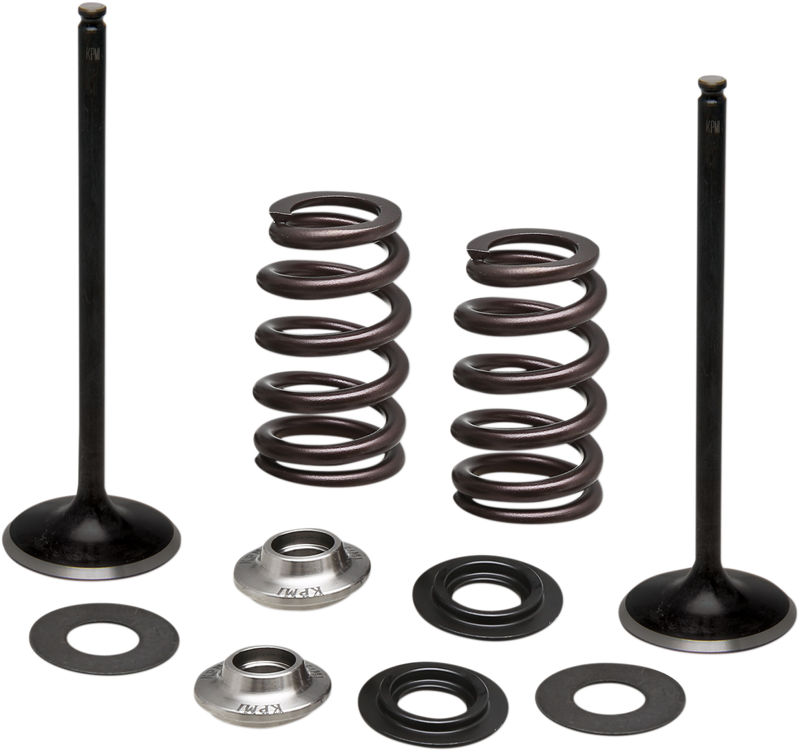 KIBBLEWHITE Valve and Spring Kit - 0.435" Lift - KTM 450XCF | 450SXF '13-'18 96-96540