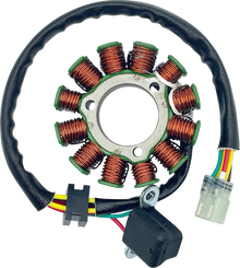 RICK'S MOTORSPORT ELECTRIC Stator - '08-'09 RMZ450 21-829