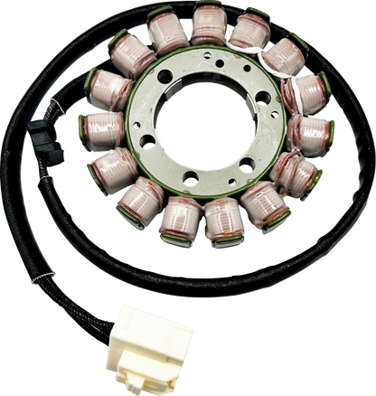 RICK'S MOTORSPORT ELECTRIC Stator - '19-'23 Ninja ZX-6R 21-248