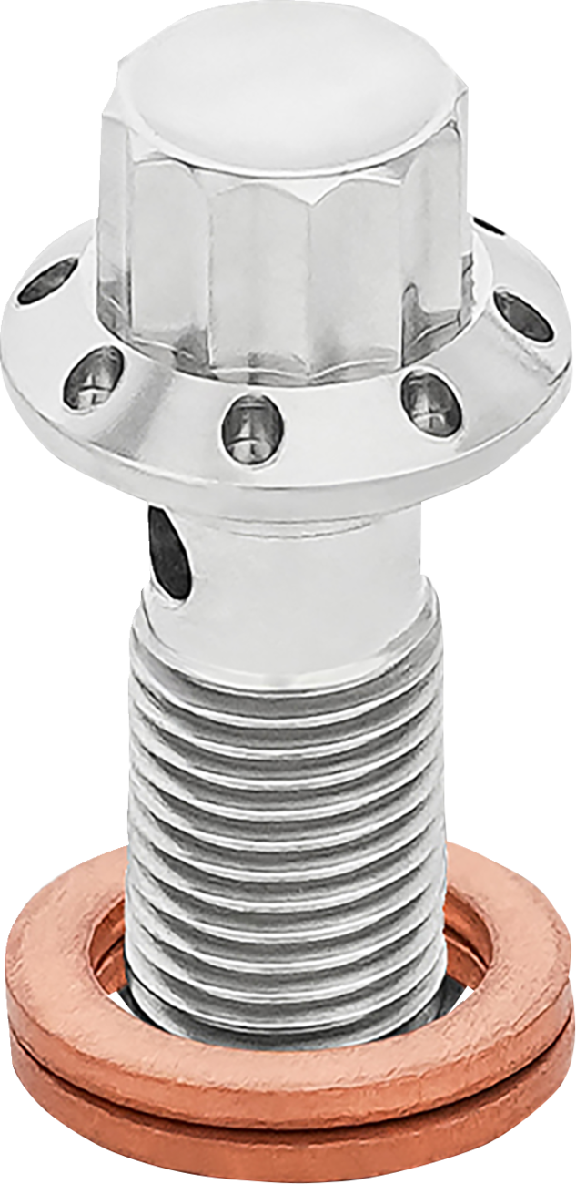 ARLEN NESS Banjo Bolt - 3/8"-24 - Polished 300-824