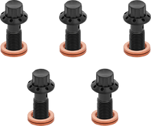 ARLEN NESS Banjo Bolt 5-Pack - M10x1.0 - Black 300-858