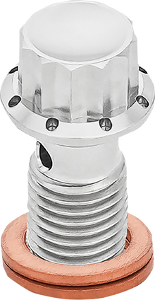 ARLEN NESS Banjo Bolt - M12x1.25 - Polished 300-833