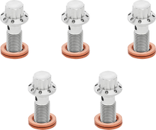 ARLEN NESS Banjo Bolt 5-Pack - M10x1.0 - Polished 300-857