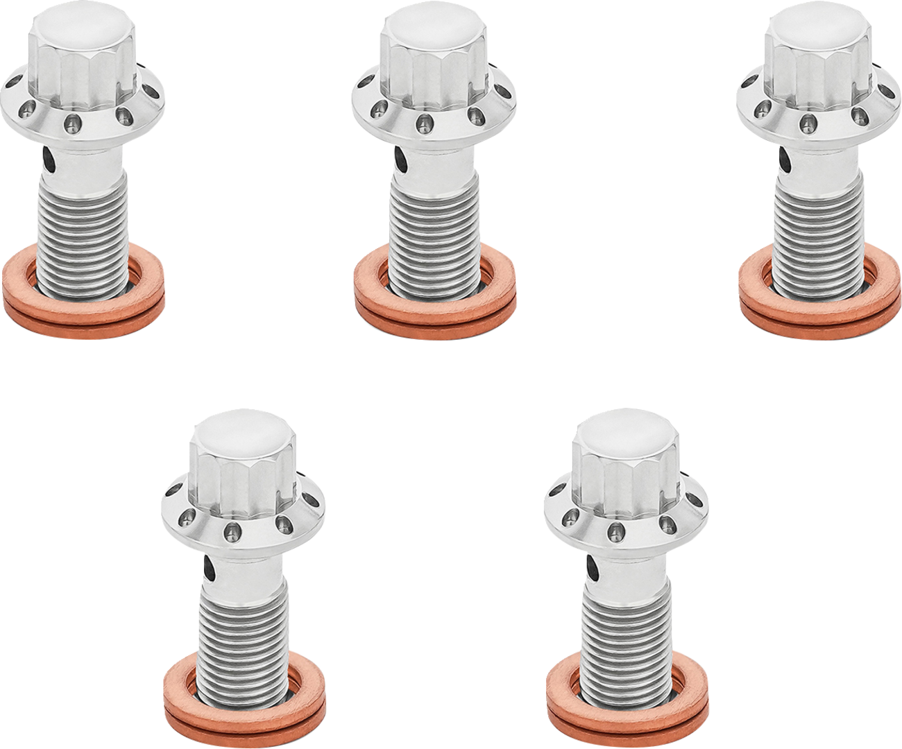 ARLEN NESS Banjo Bolt 5-Pack - M10x1.25 - Polished 300-860