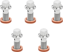 ARLEN NESS Banjo Bolt 5-Pack - M10x1.25 - Polished 300-860