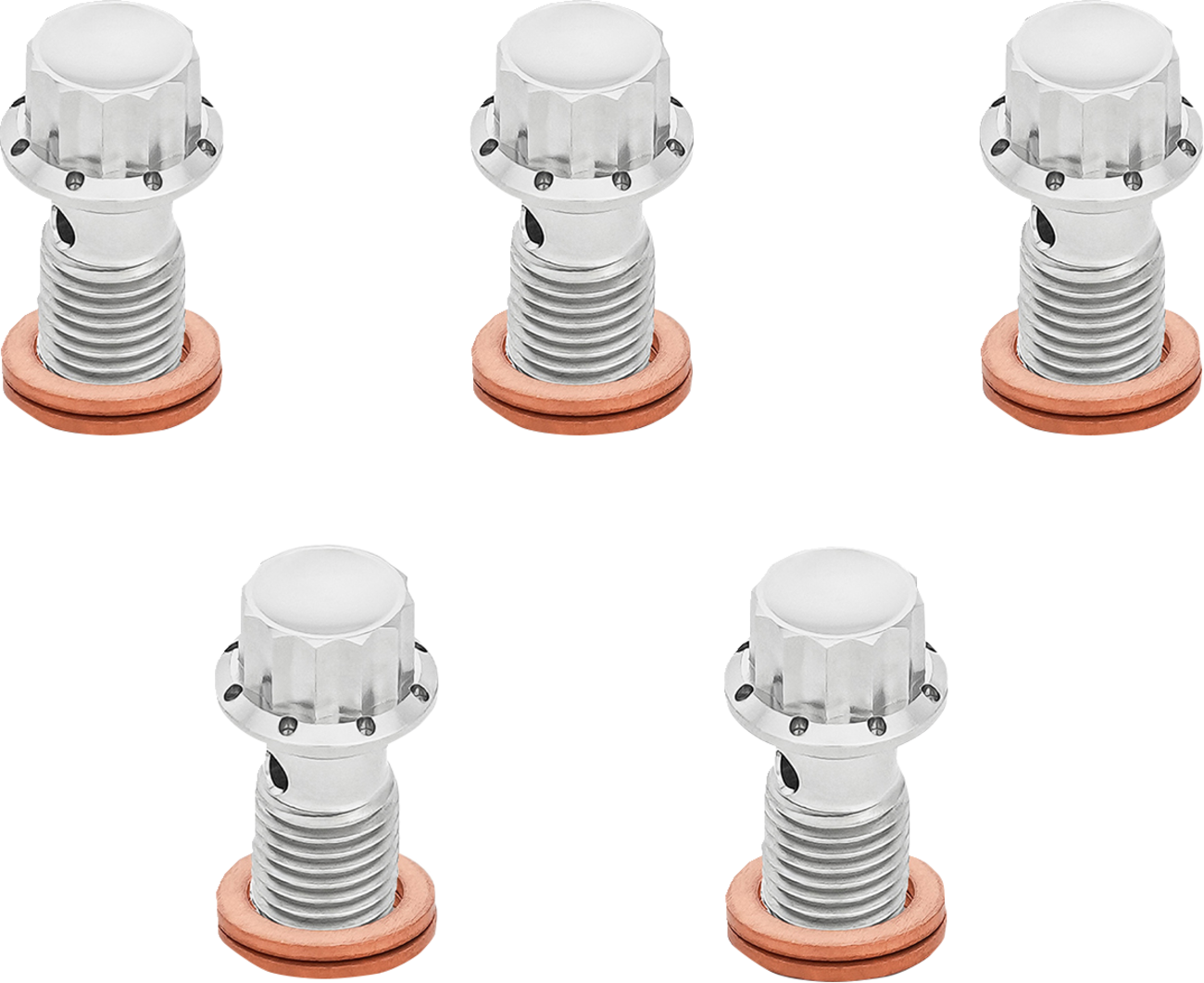 ARLEN NESS Banjo Bolt 5-Pack - M12x1.25 - Polished 300-863