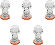 ARLEN NESS Banjo Bolt 5-Pack - M12x1.25 - Polished 300-863