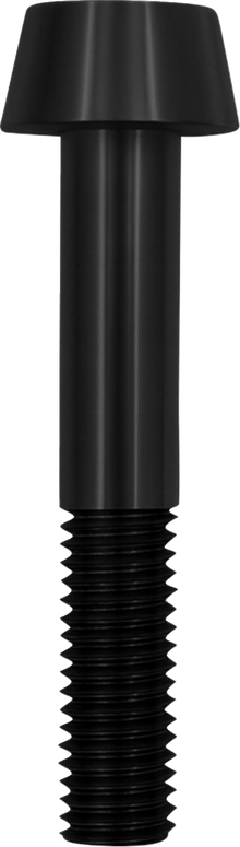 S&S CYCLE Bolt - Compensator - '10-'25 Big Twin 560-0450