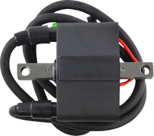 RM STATOR CDI Box - Yamaha RM06058