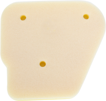 NO TOIL Foam Air Filter - Polaris 315-05