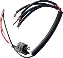 CUSTOM DYNAMICS Shark Demon® 2 Wire Harness SD2-OR-Y-HARN