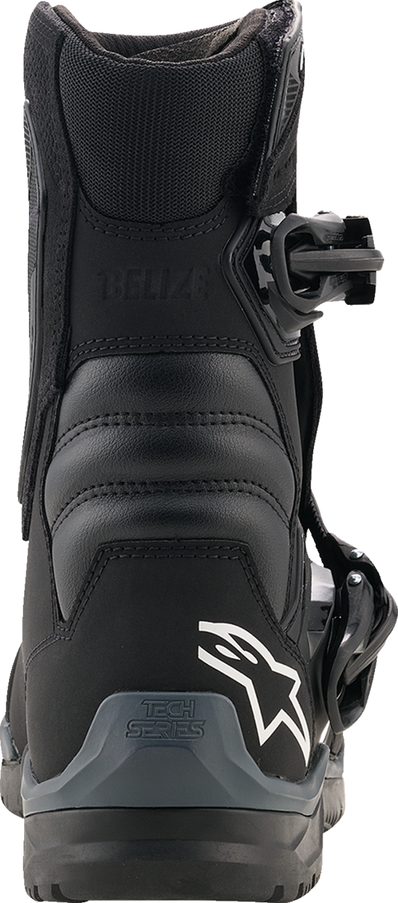 ALPINESTARS Belize V2 Drystar® Boots - Black - US 10 2040226-10-10
