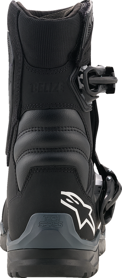 ALPINESTARS Belize V2 Drystar® Boots - Black - US 10 2040226-10-10