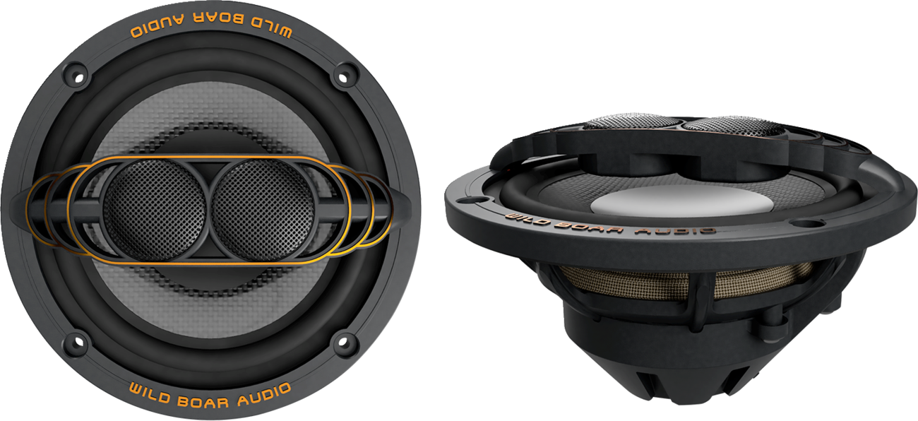WILD BOAR AUDIO 250 W Speaker - 2 ohm - FL WBA 652-24