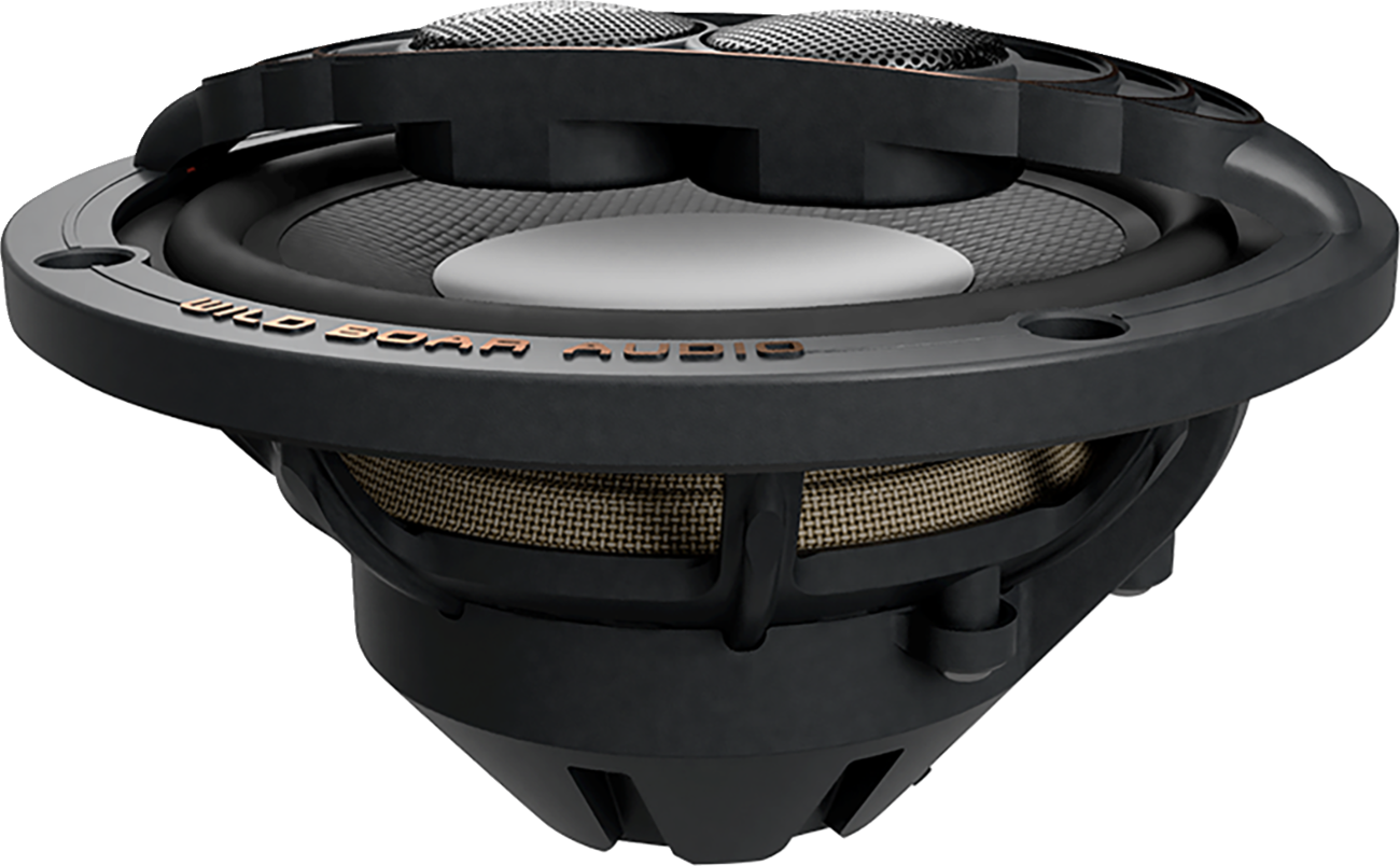 WILD BOAR AUDIO 250 W Speaker - 2 ohm - FL WBA 652-24