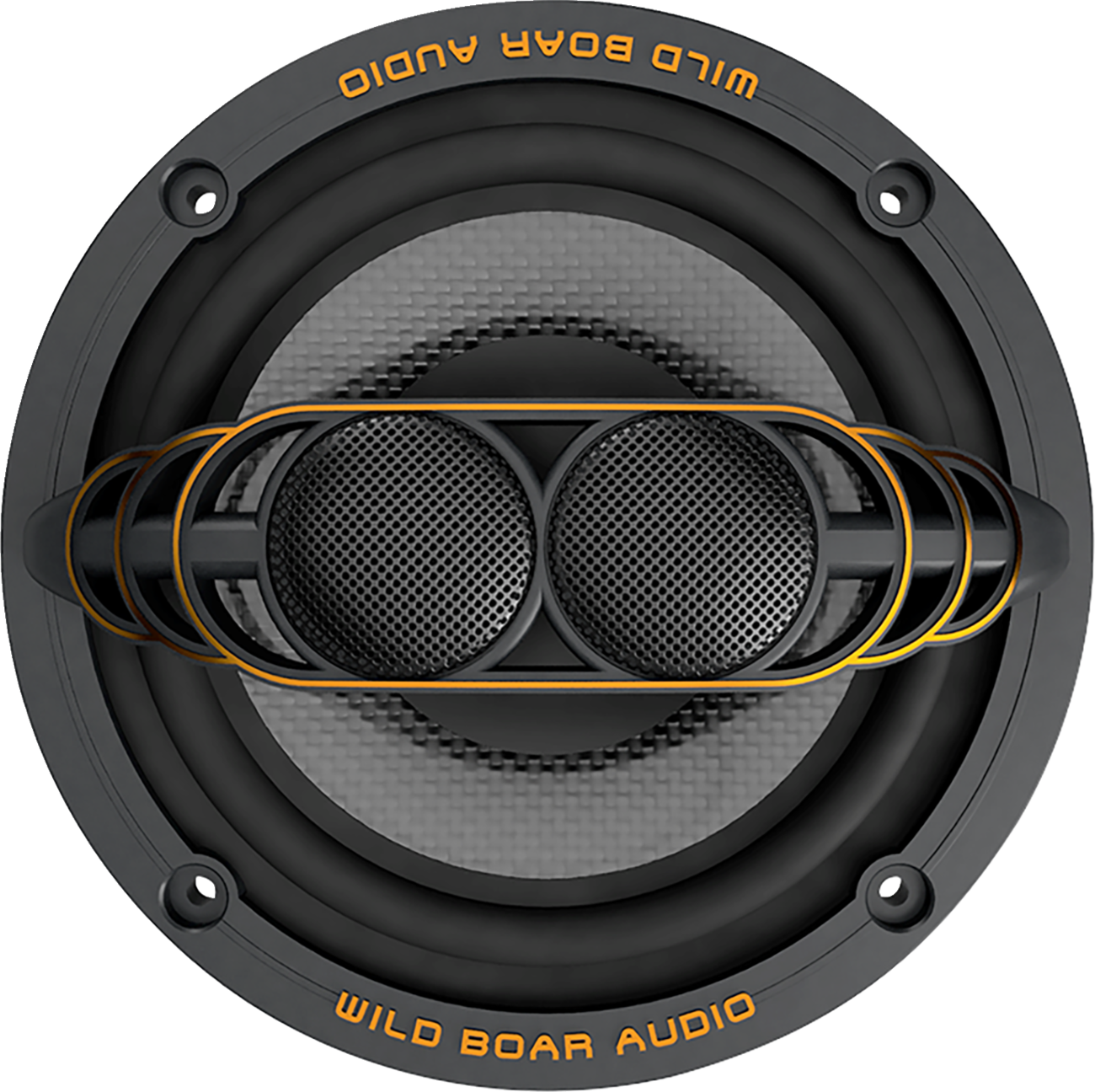 WILD BOAR AUDIO 250 W Speaker - 2 ohm - FL WBA 652-24