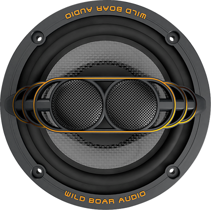 WILD BOAR AUDIO 250 W Speaker - 2 ohm - FL WBA 652-24