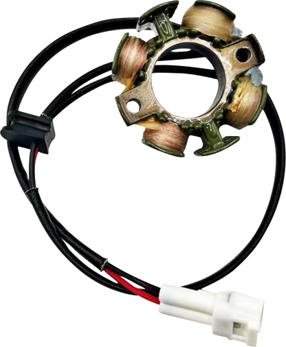 RICK'S MOTORSPORT ELECTRIC Stator - KTM 21-0103