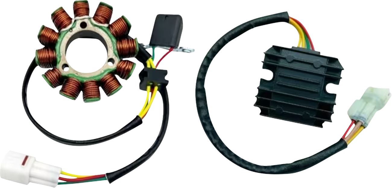 RICK'S MOTORSPORT ELECTRIC Charging Kit - '13-'19 RMZ250/450 99-800H