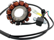 RICK'S MOTORSPORT ELECTRIC Stator - Gas Gas/Husqvarna/KTM 21-0101H