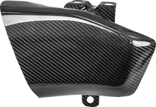 SADDLEMEN Air Scoops - Carbon Fiber/Gloss - Harley-Davidson® - Trike/Touring CF-817-07-001
