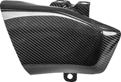 SADDLEMEN Air Scoops - Carbon Fiber/Gloss - Harley-Davidson® - Trike/Touring CF-817-07-001
