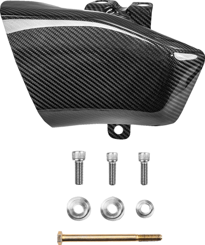 SADDLEMEN Air Scoops - Carbon Fiber/Gloss - Harley-Davidson® - Trike/Touring CF-817-07-001