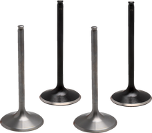 MOOSE OFFROAD Valve Kit - Pro - Honda TRX450R M30-34280
