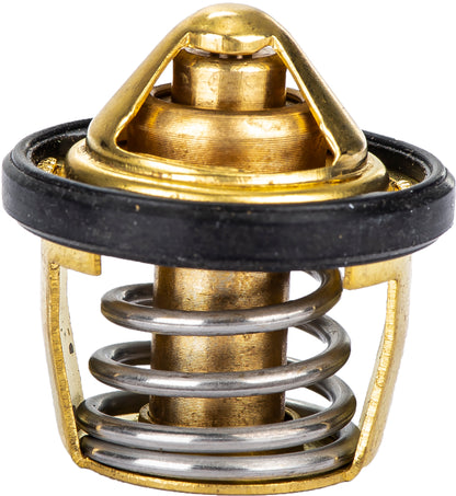 Thermostat W/Gasket Pol