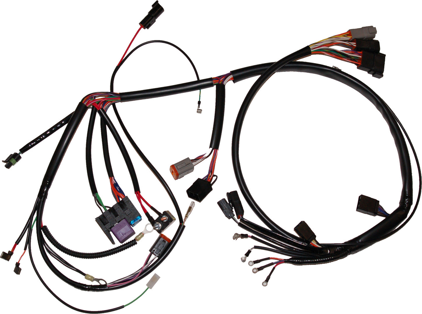 Sportster Harness Hd 70153 99 Xl 99 03