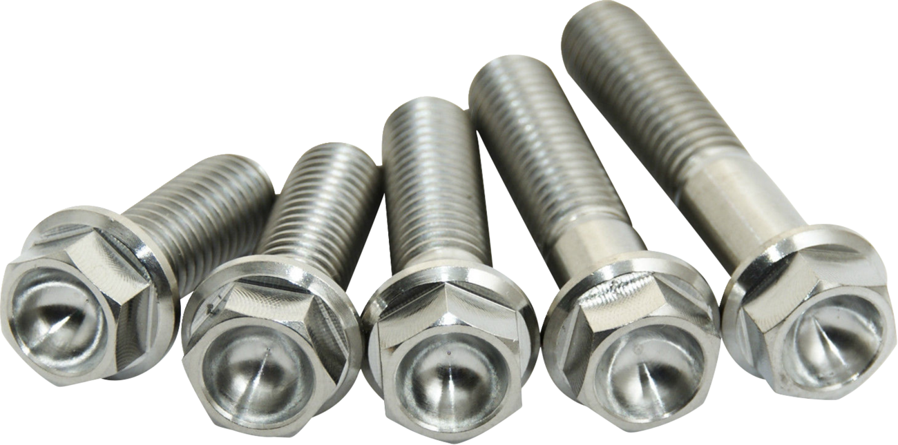 SCAR RACING Bolt - Titanium - M8 x 25 STIM8X25-01