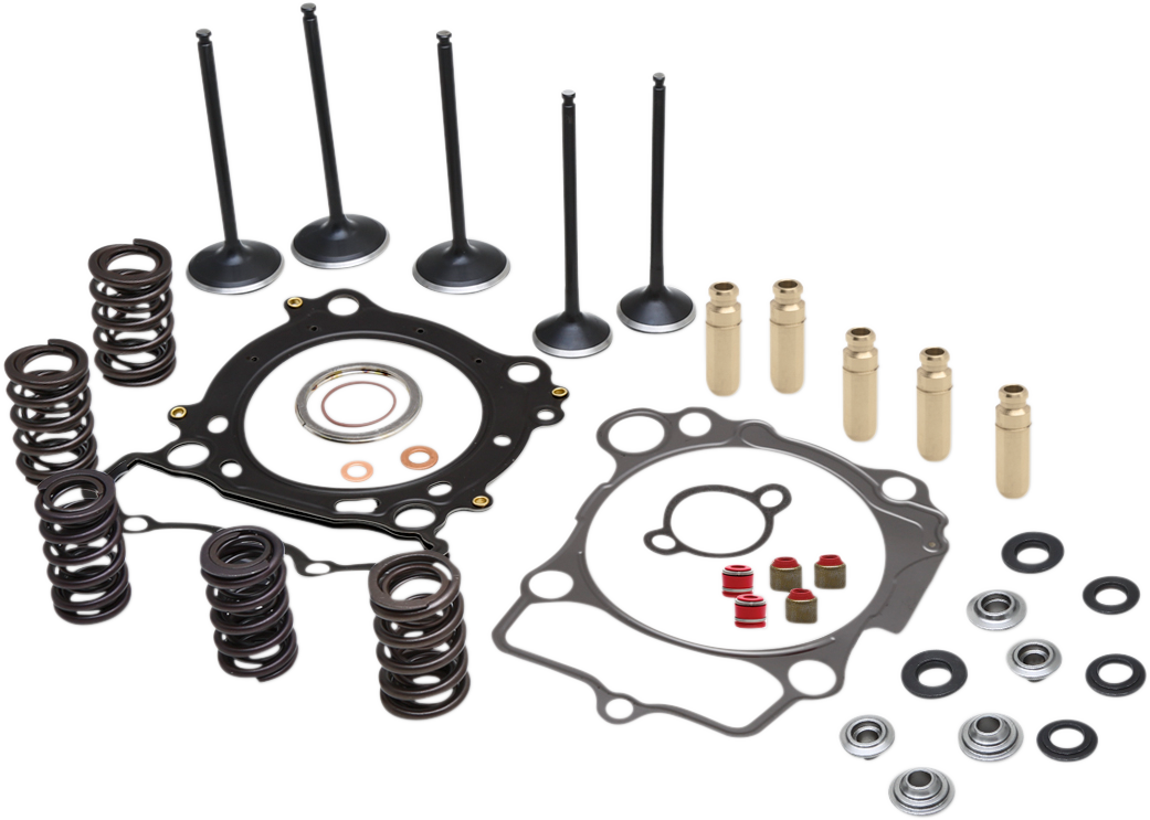 KIBBLEWHITE Cylinder Head Kit - C674 Valve Guides - Black Diamond™ Valves - Yamaha 80-82400